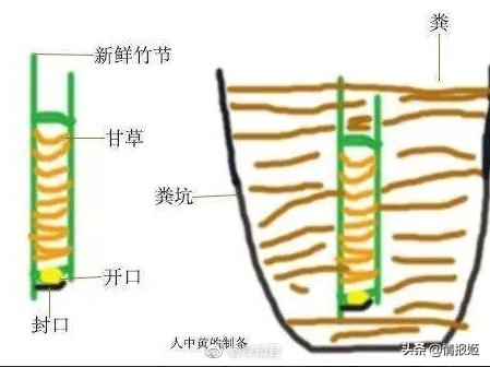 健康*男处**拉的一坨屎，能卖300块
