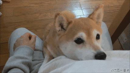 做过人流手术影响怀孕么,去医院做过人流会有记录吗