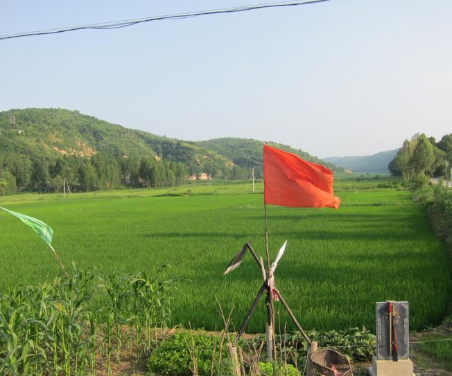 重温红色的圣地,重温红色之旅品味延安文化