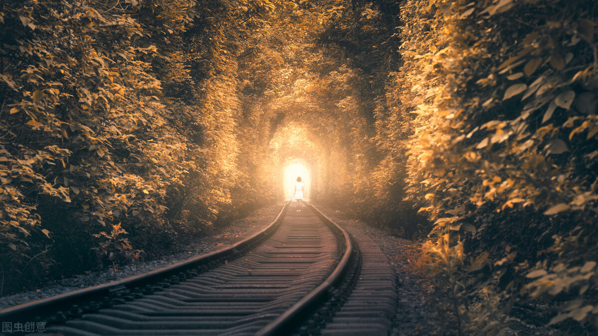 亲和源近况,亲和源简介