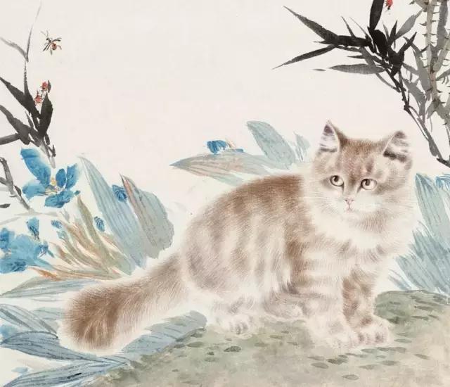 故宫十大御猫小崽儿,历史上真实的故宫御猫