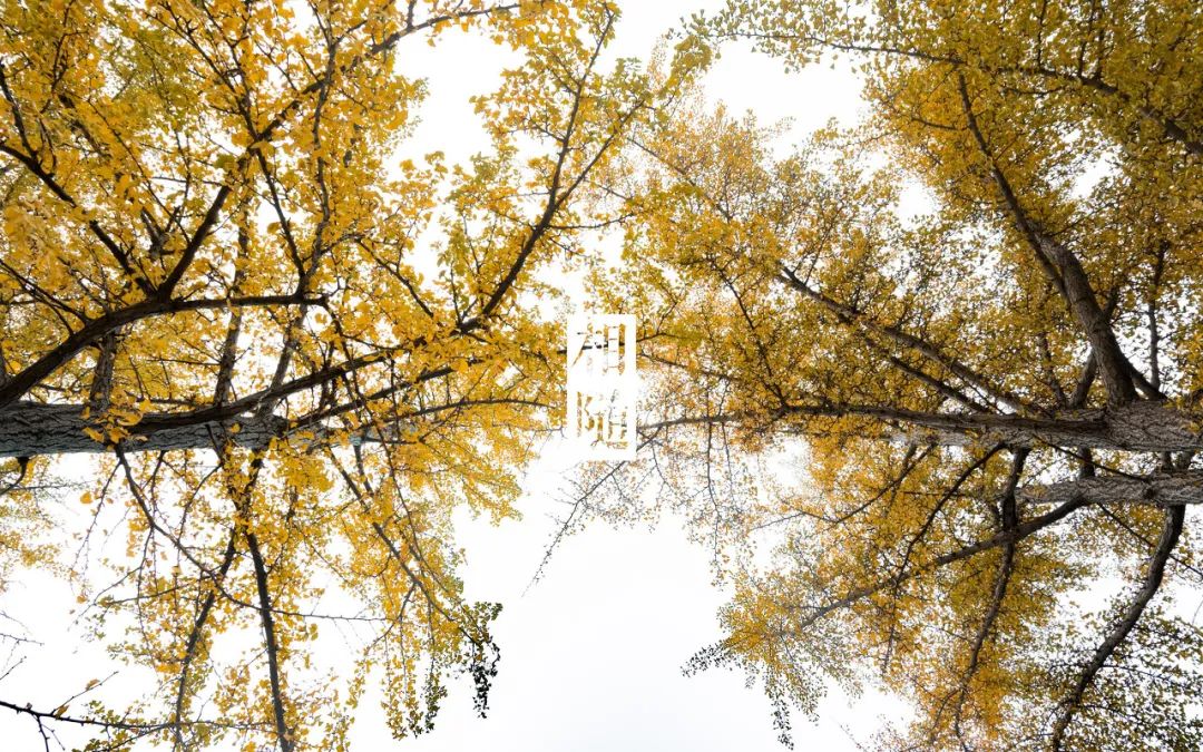 美过三亚！比厦门浪漫！中国这座海滨老城，去一次相当于环游世界