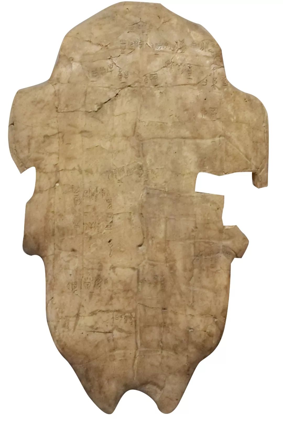 甲骨文书法图片大全,甲骨文书法图片高清