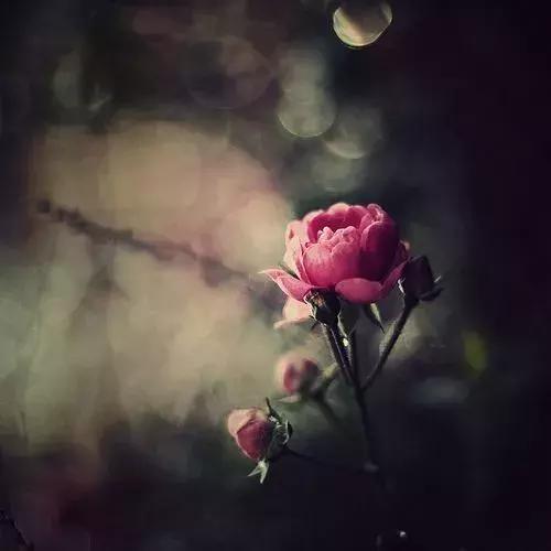 分手后我犯过很多错,分手之后我都做了什么