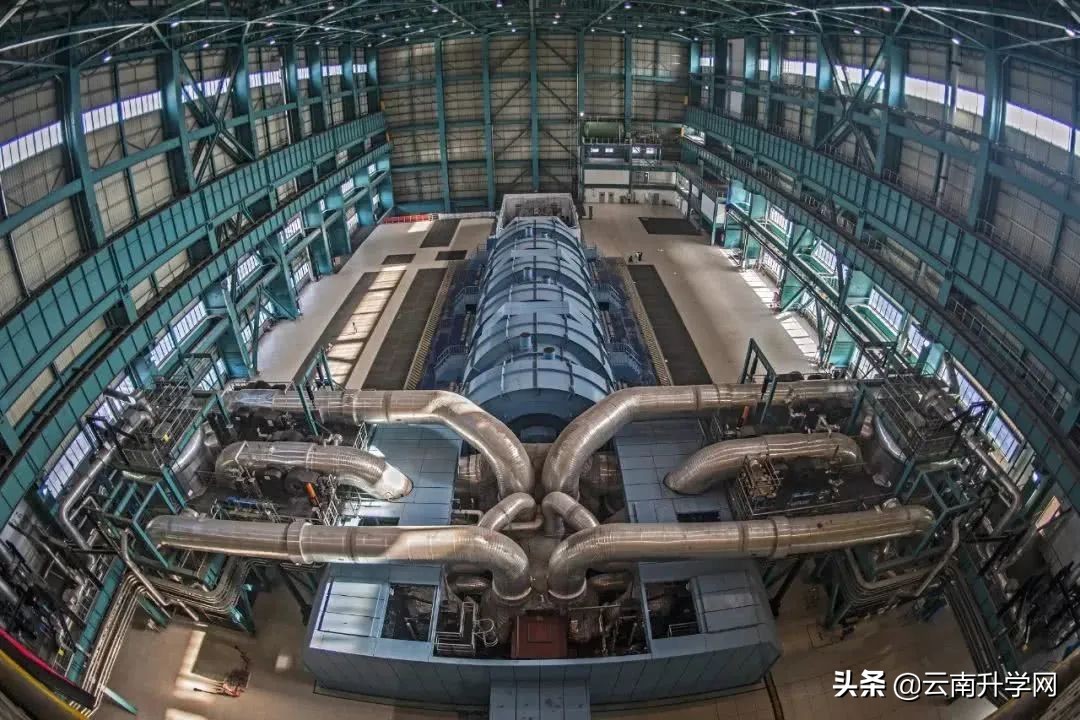 张雪峰十大冷门专业就业前景,北大清华冷门专业就业去向