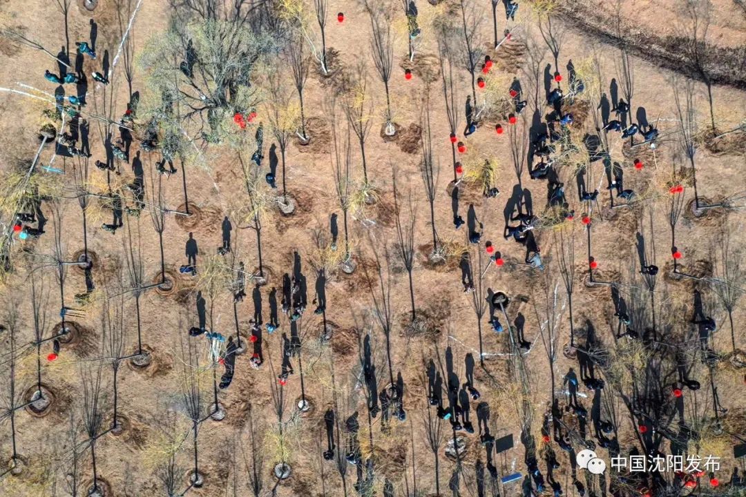 带你去美颜,明天一起去大理