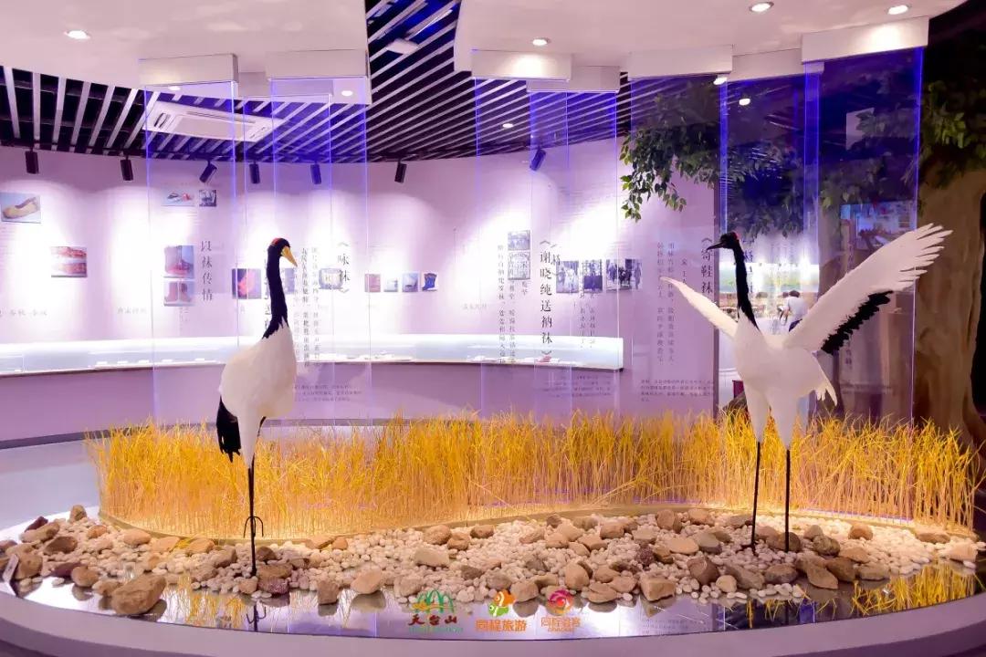 白鹤镇附近有什么景区,白鹤旅游景点介绍