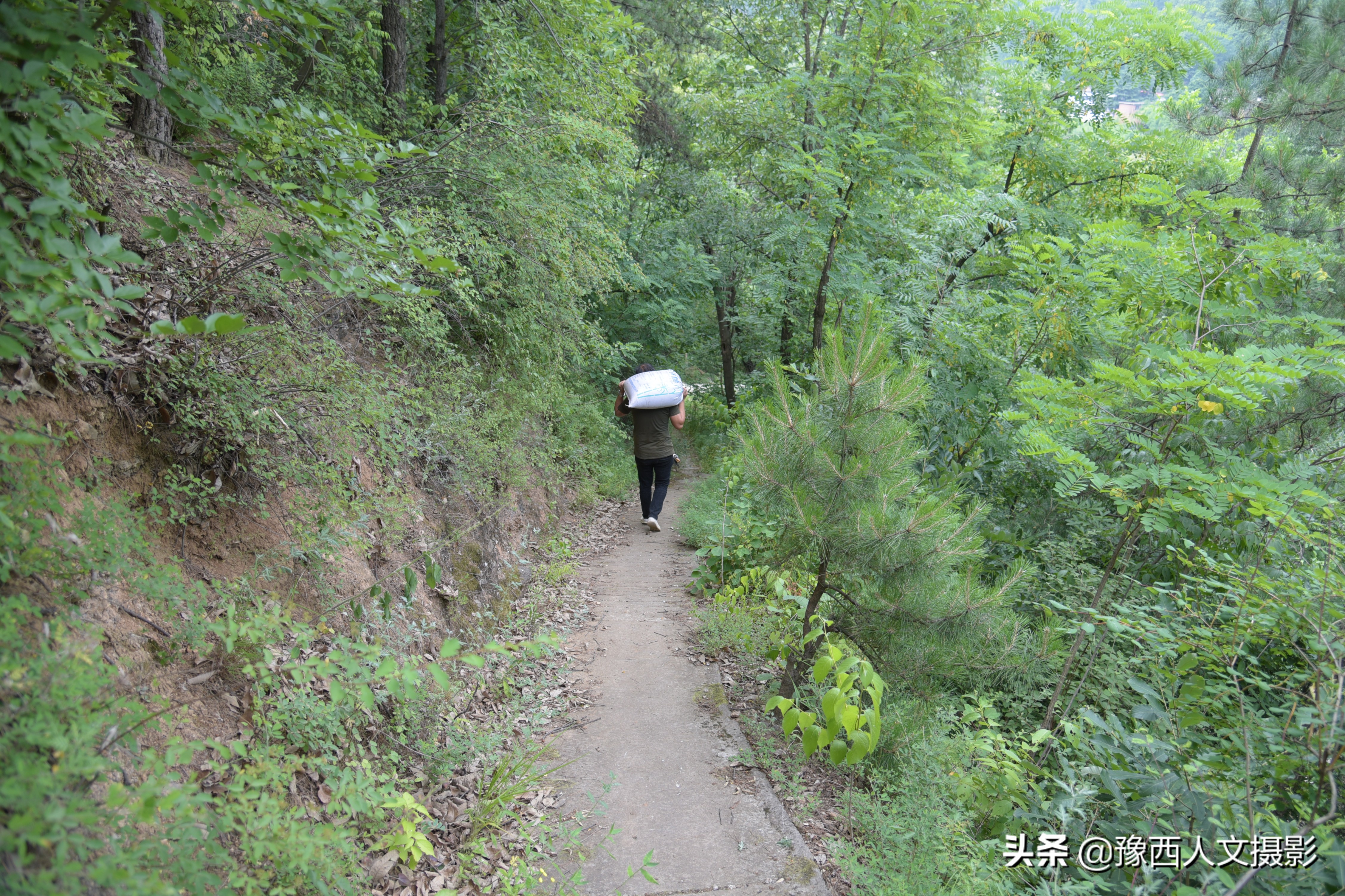 山里父亲10年前为儿子打算,藏一囤小麦两桶黄豆,娶媳妇却没用上