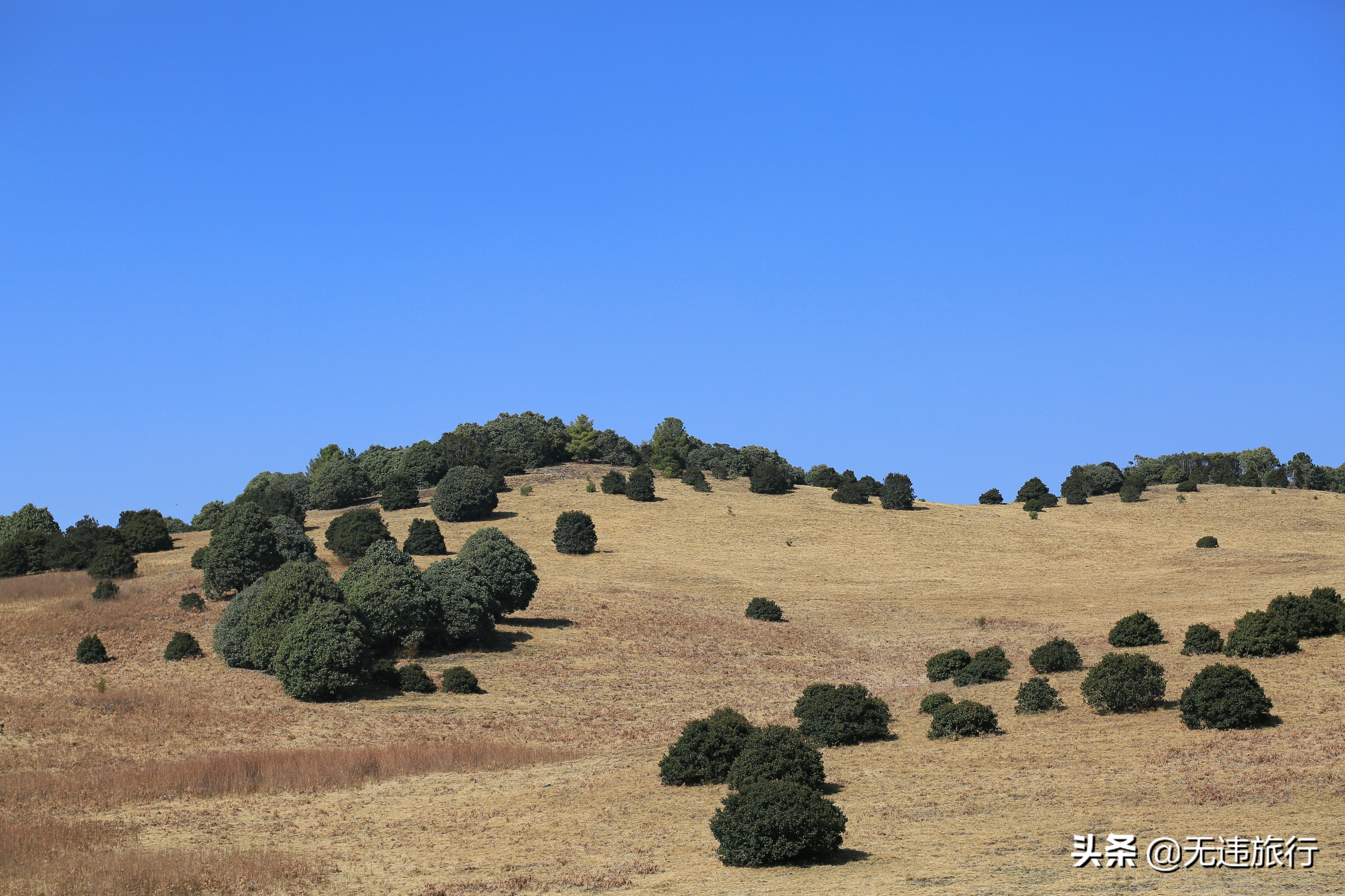 去大理鸡足山徒步旅行,大理鸡足山徒步登顶