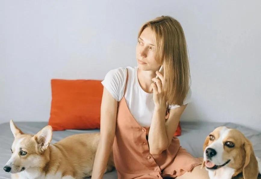 警惕微信公众号的陷阱,一定要警惕骗局