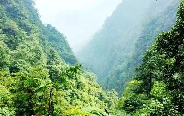 峨眉山降价最新消息,峨眉山的门票打折什么时候结束