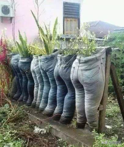 废物改造花盆绿植,旧物改造吊兰花盆