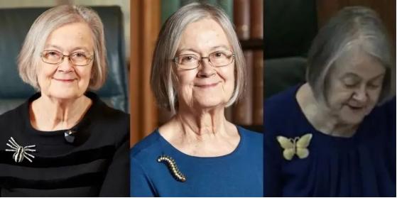 有价值的胸针,装饰胸针