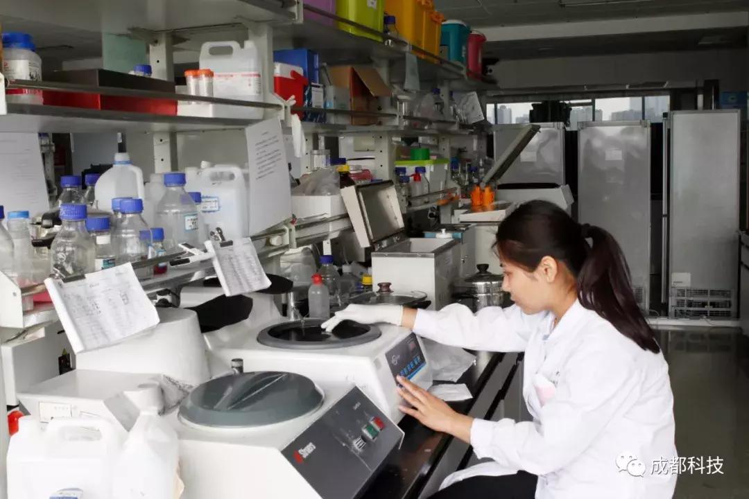 “国字号”实验室即将开放要不要一起去了解滚滚怎么繁育呀？