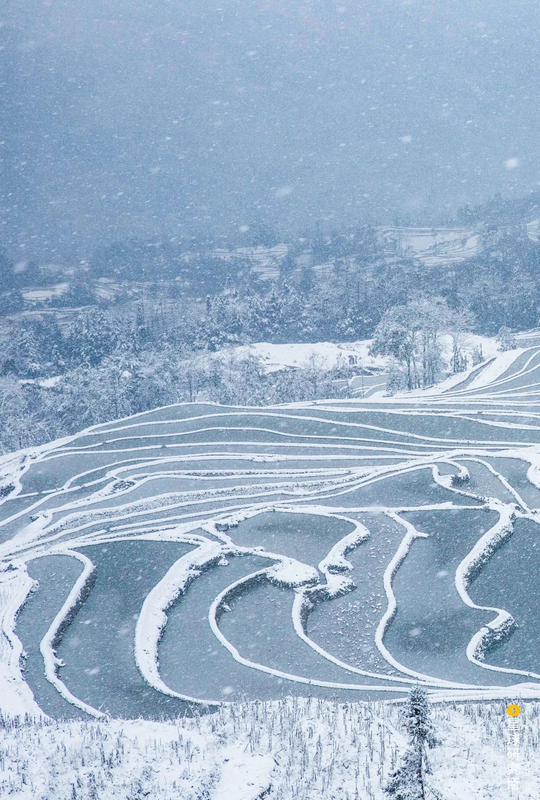 云南红河有什么特色,云南红河乡的风景