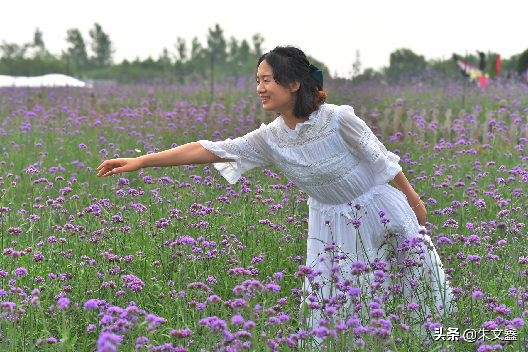 江苏大丰荷兰花海门票多少钱一张,大丰盐城荷兰花海