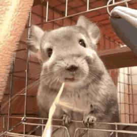 心药讲的什么,心药语音视频