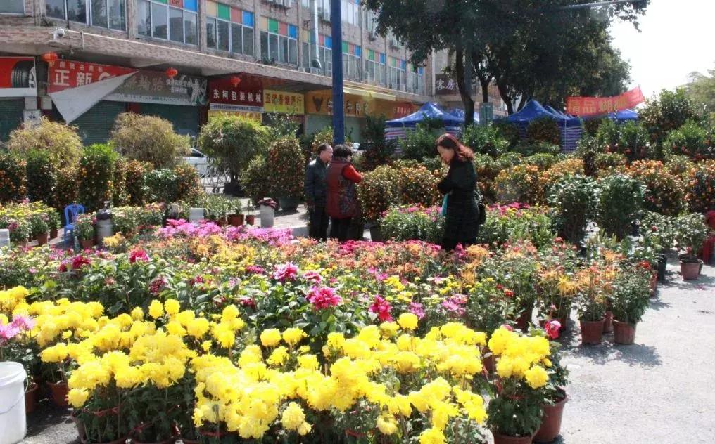 广州2020荔湾花市交通管制,南海花市最全攻略