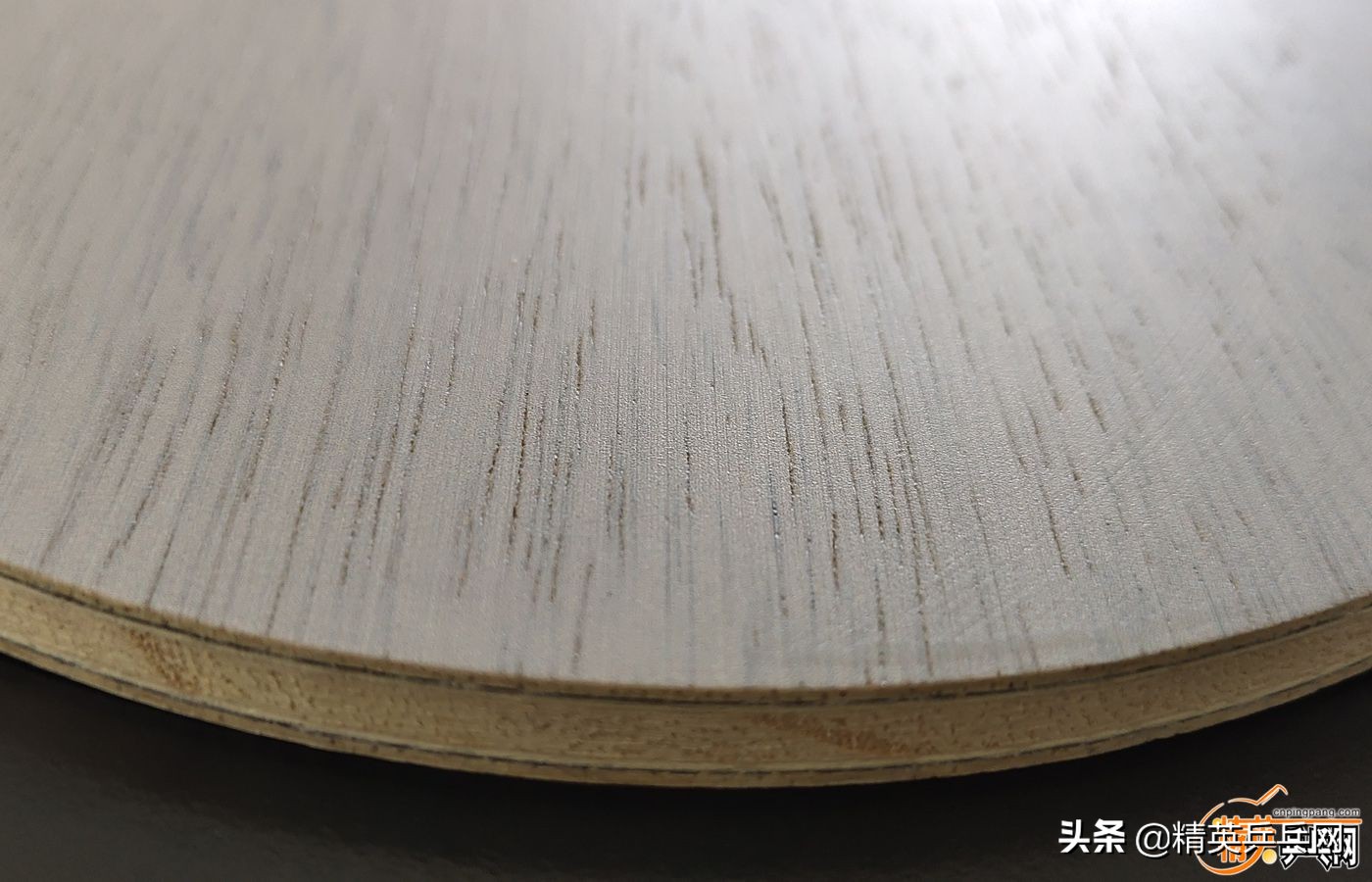 新纤维!新能量!萨姆索诺夫佛迪诺(Fortino)PRO终极甄选