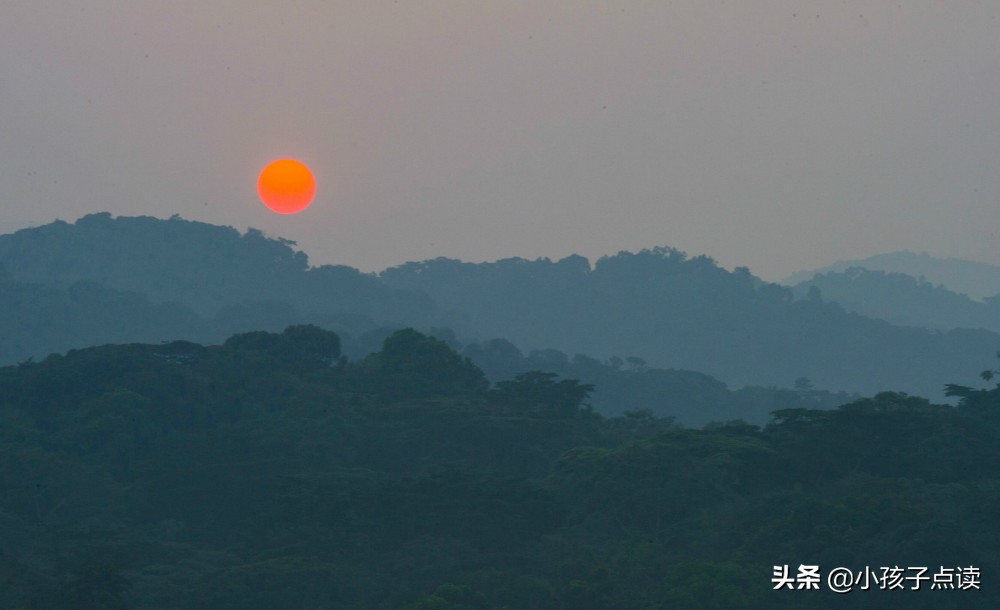 离情都包括哪些具体的情感古诗词,写离情别意的古诗