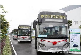 南阳到白城抢先进入氢产业时代,比肩华为的水变油让国人为之振奋