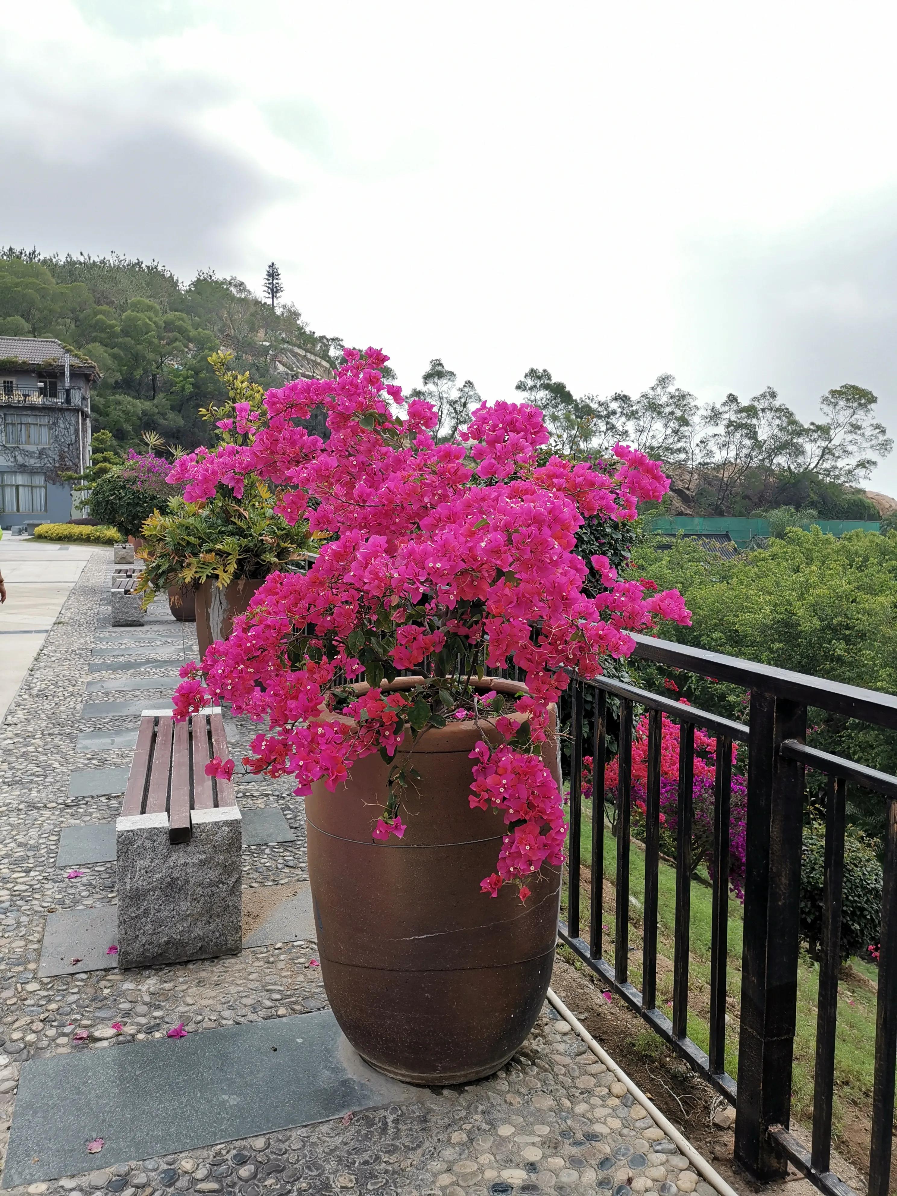 濮戝珎鏃呰璁板綍,濮戝珎鏃呰鏃ヨ