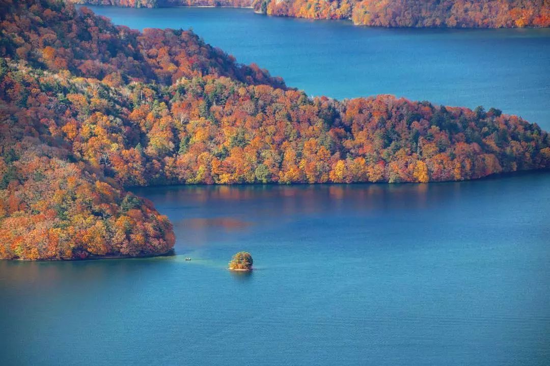 做个‘追枫少女’领略红叶之美！