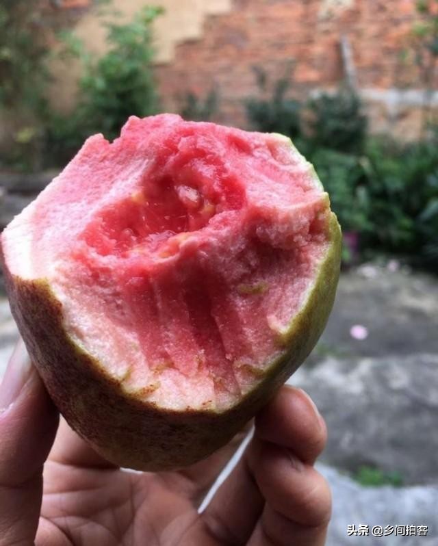 这些新奇水果你吃过吗,这些新奇水果你们吃过吗