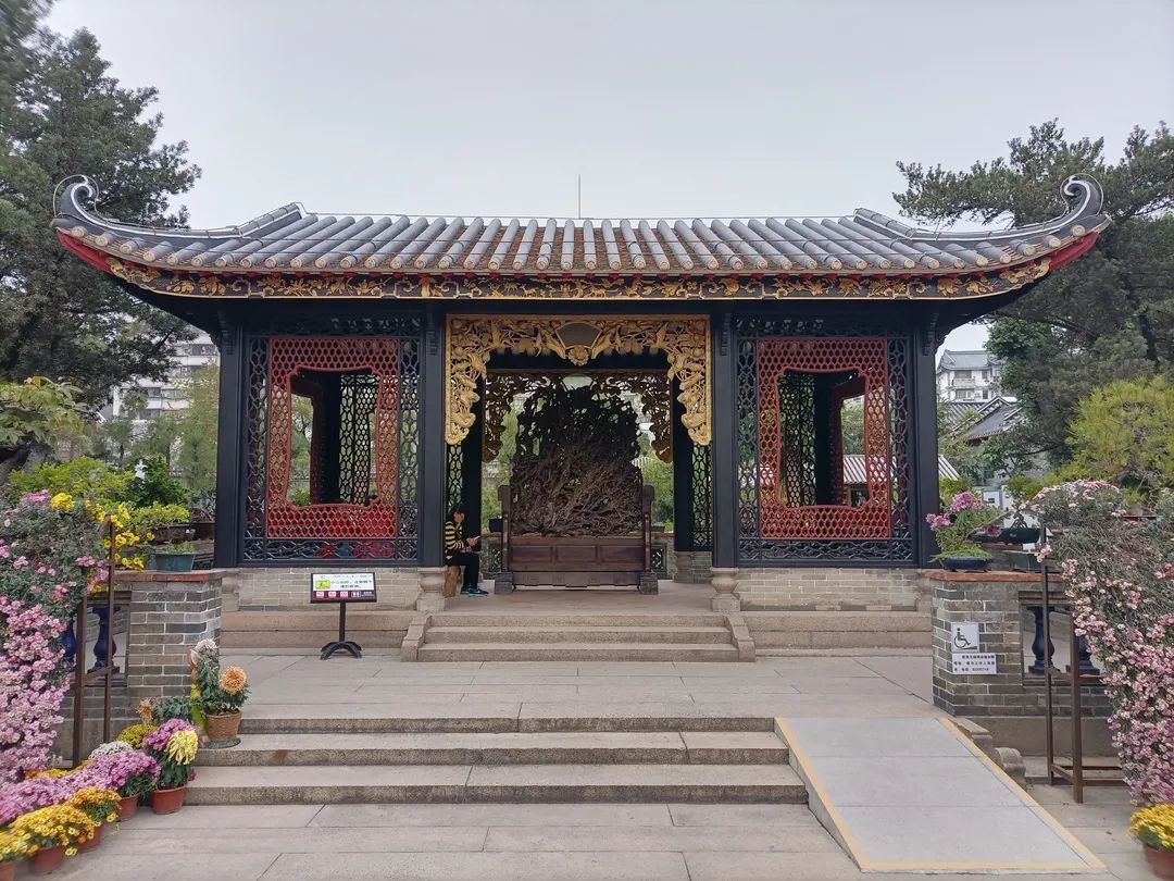 珠海火了！世界级酷炫“蓝天盛宴”，这座宝藏城市必须隆重介绍