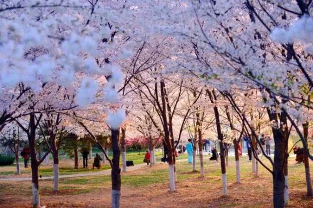 烘焙行业新的增长点,烘焙业新动向