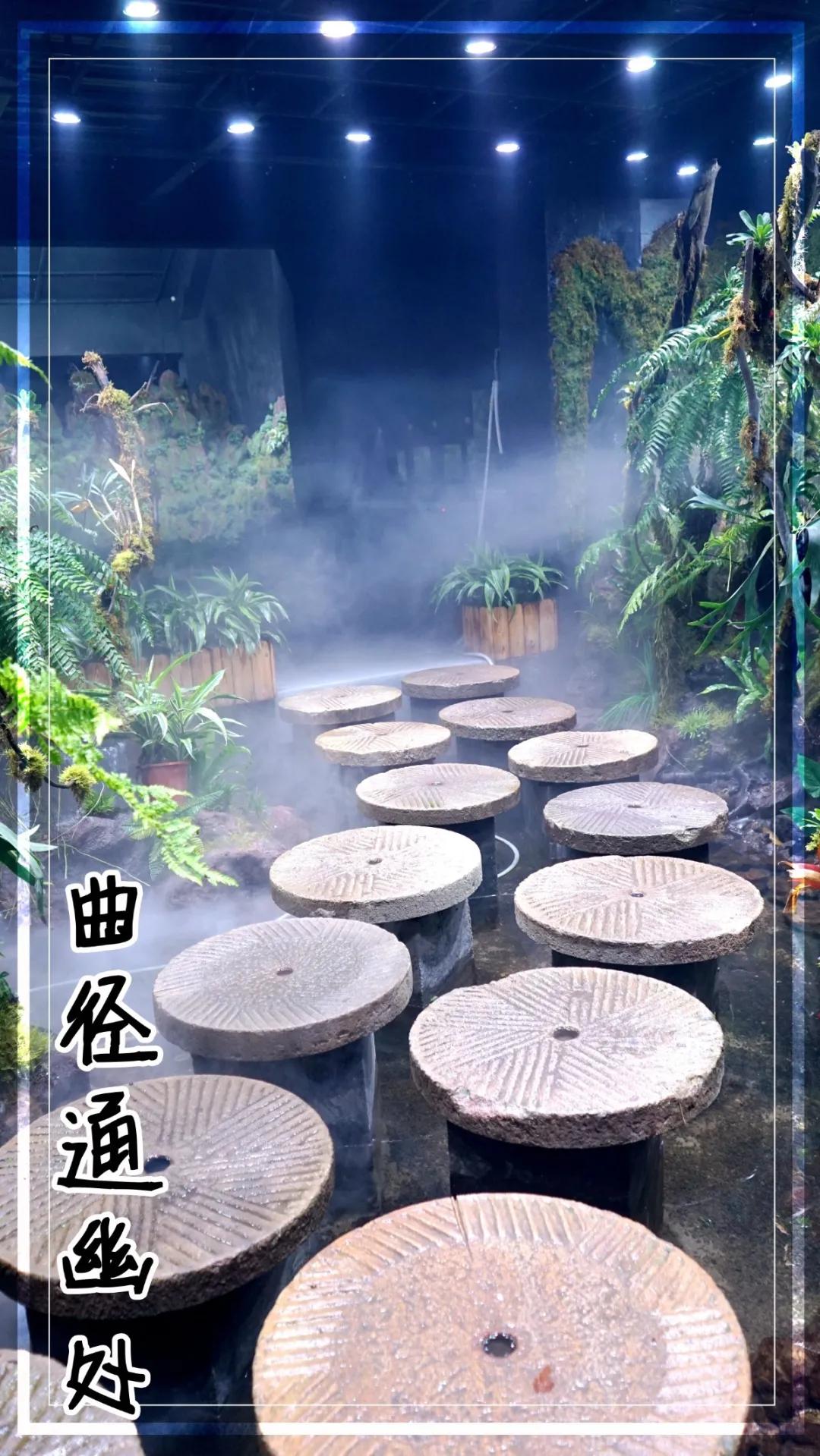 瞒不住了，孙悟空来聊城了，还带着“花果山”