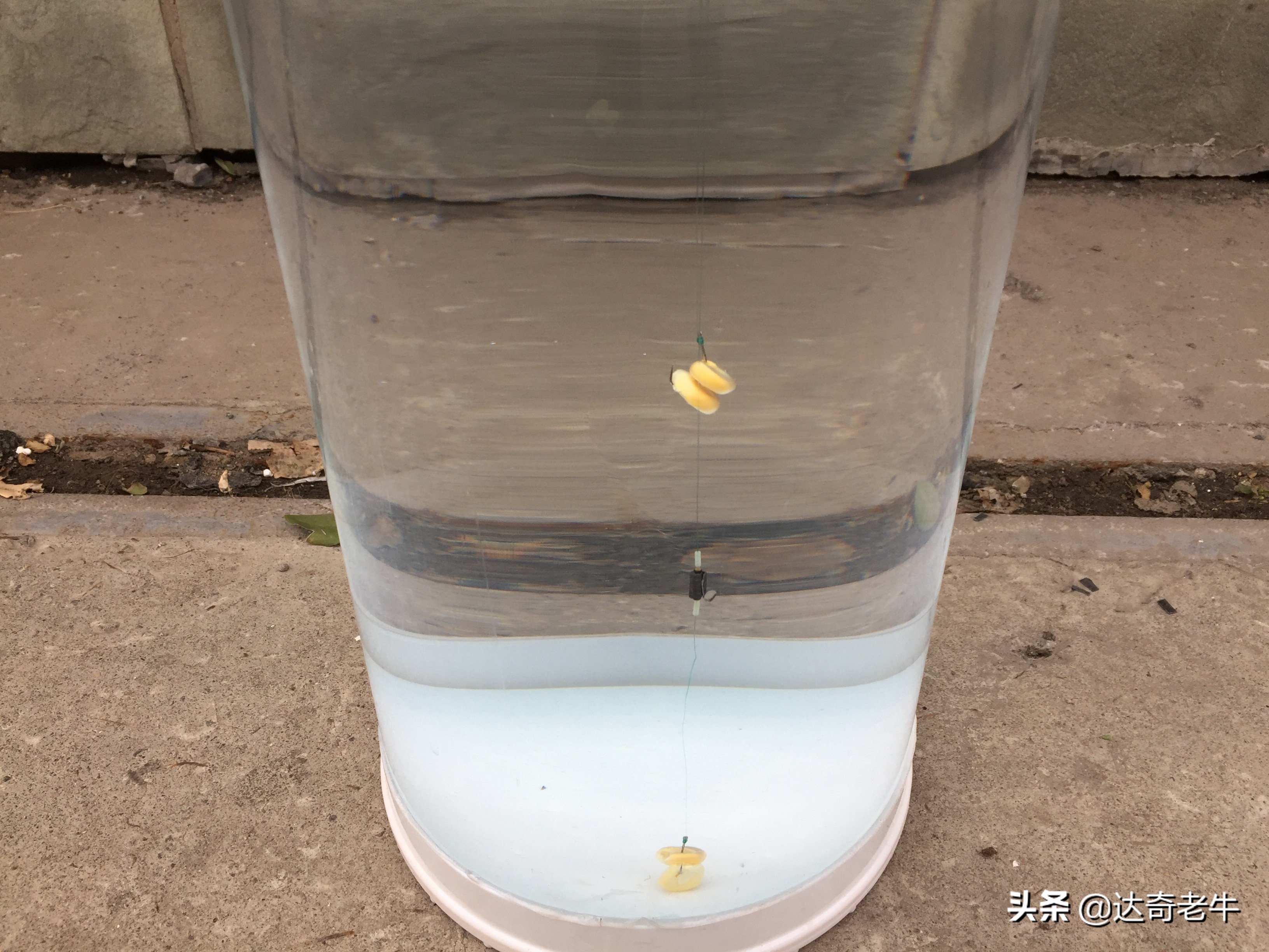 野钓双铅坠钓法与跑铅,野钓双铅坠钓法与调漂水下状态