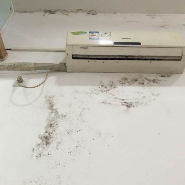 回南天来袭防潮妙招你值得拥有 (客厅地板回南天除湿防潮神器)