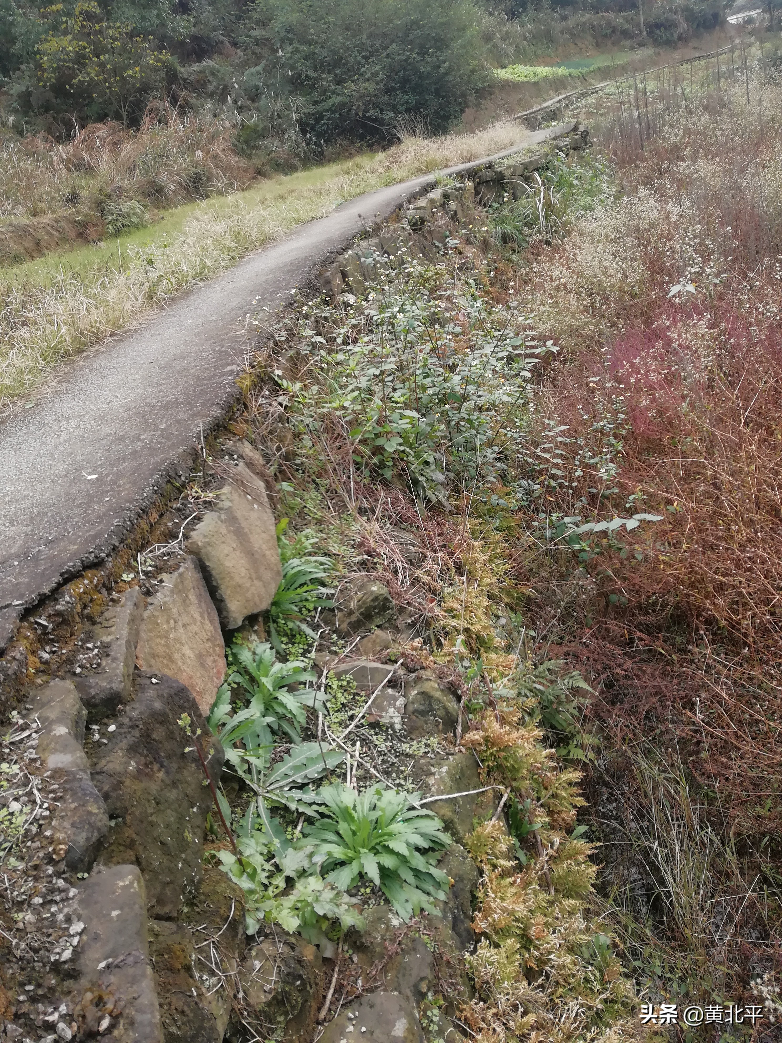 重庆爬山健身步道,重庆主城下雨都可以健身的步道