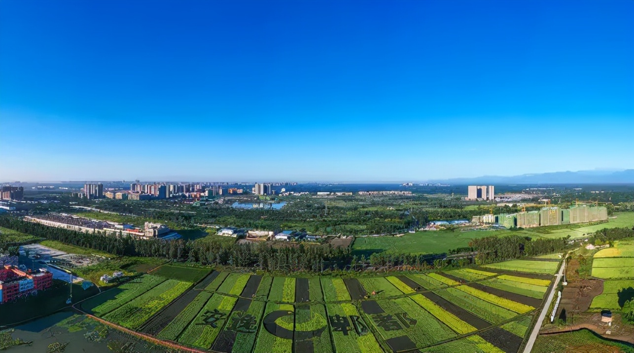 郫都区最好前三个镇排名榜,郫都区排行榜前十名