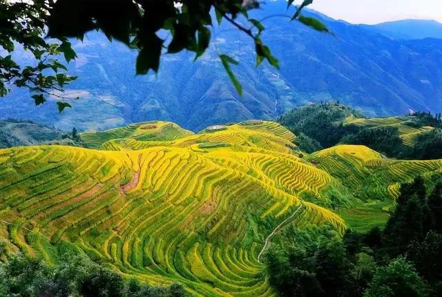 最全成语分类汇总,最全最实用的成语总结