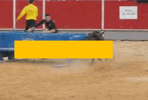 被牛角顶了是什么感觉,被牛角顶了是什么样