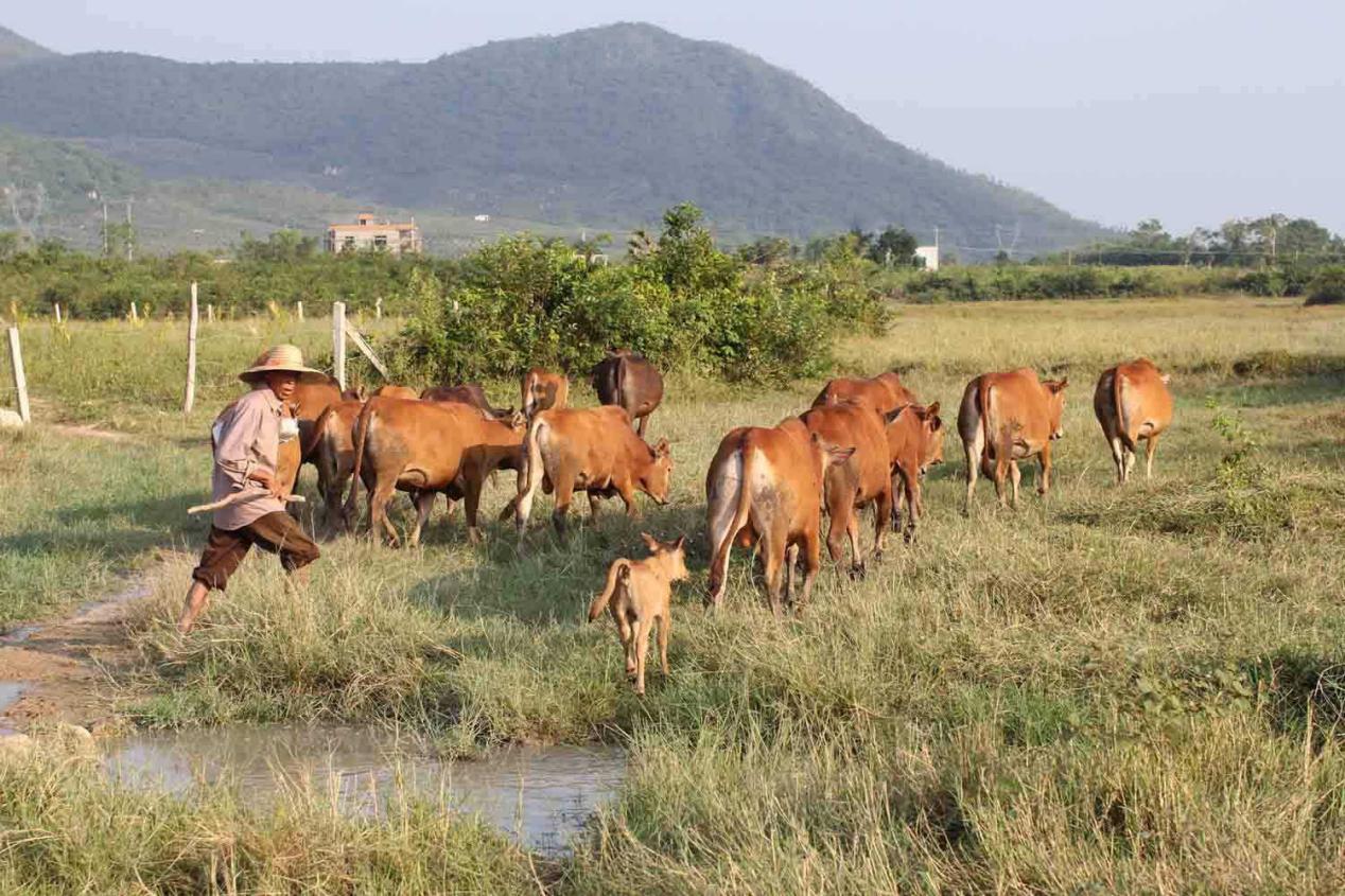 让更多的孩子走进早教课堂,早教课该不该上