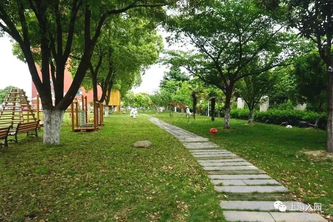 探园幼儿园环境,探园幼儿园招远