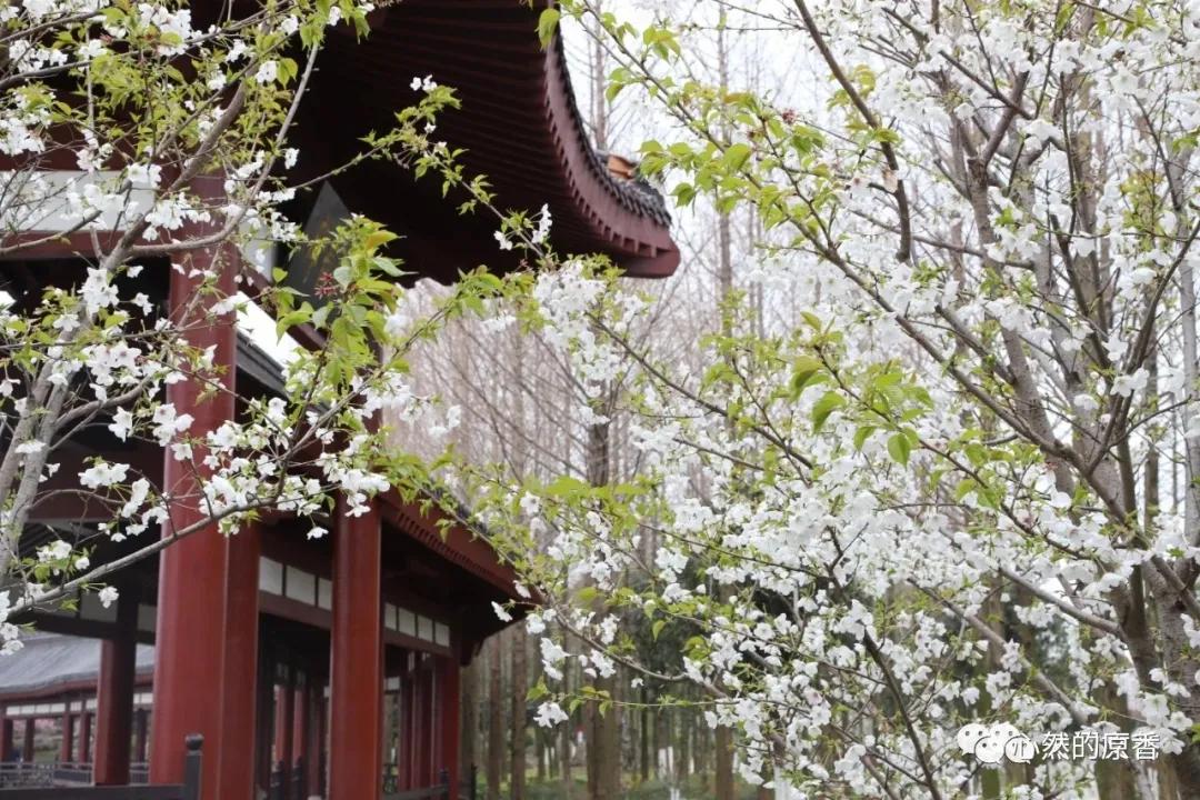 陈艳萍襄阳,天门陈艳萍