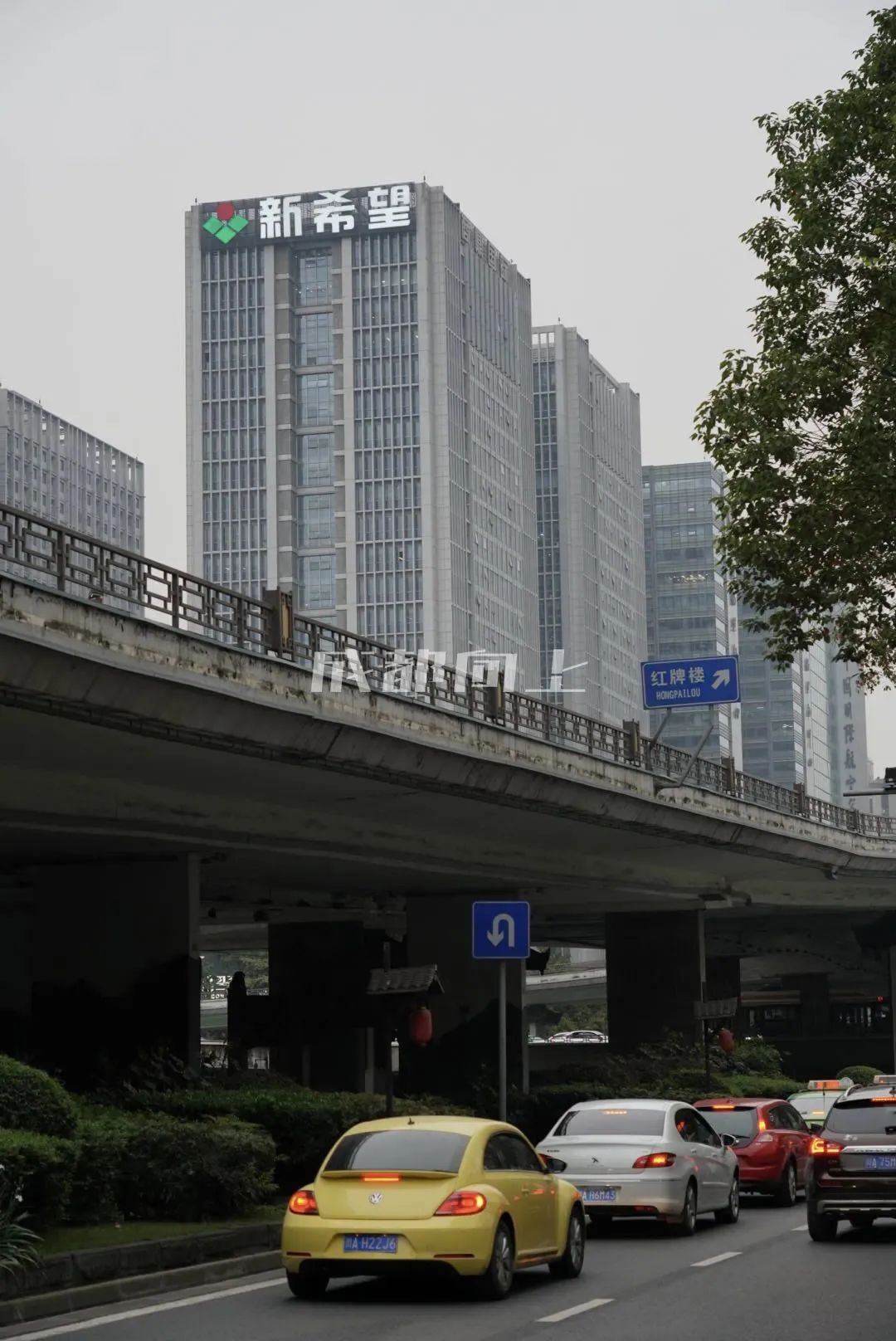 如何让成都变东京？网友：大LOGO收敛点