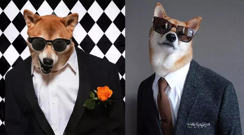 gucci和supreme联名马丁靴,guccisupreme鞋子