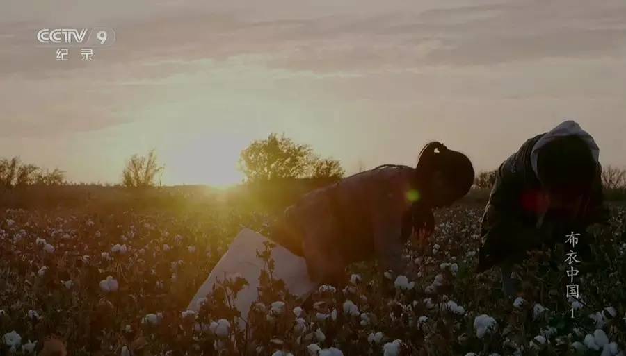 纪录片布衣中国,布衣中国纪录片观后感