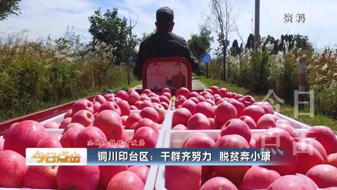 铜川印台脱贫攻坚,铜川印台区脱贫户