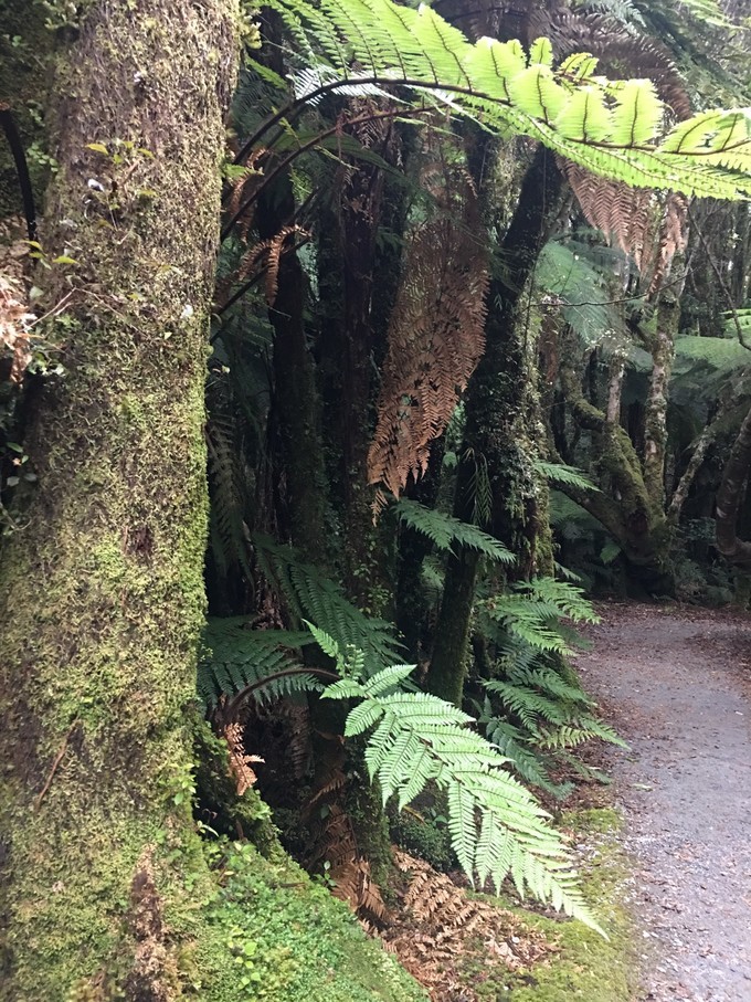 让你不出国就可以拍出欧洲即视感,让你不出家门就能看到江南的美景