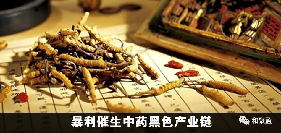 月子的人吃公鸡好还是母鸡好,产后第一天吃公鸡有什么好处