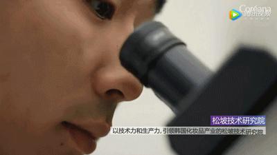 大长今宋慧乔金喜善,大长今金喜善宋慧乔