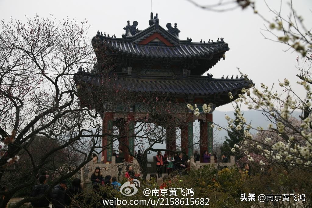 南京最好赏梅是几月,南京赏腊梅的最佳地方