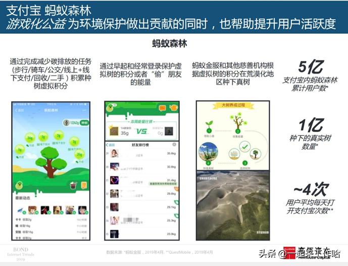 互联网女王最新报告,互联网女皇是什么