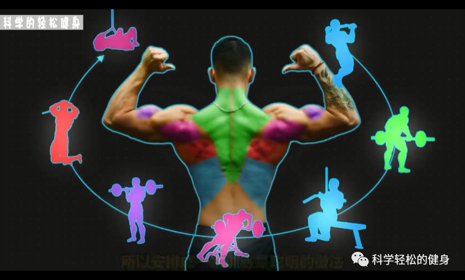 背部肌肉训练计划虐出完美的背肌,背部各个肌肉位置锻炼方法